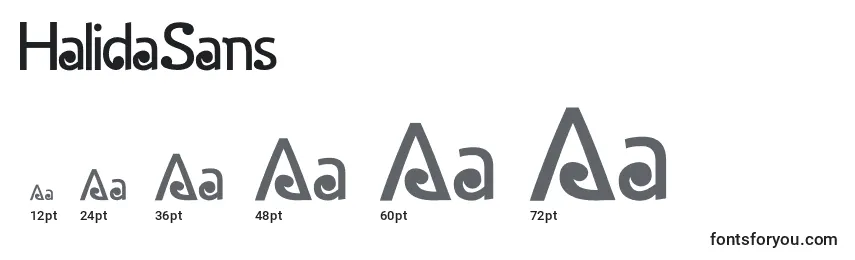 HalidaSans Font Sizes