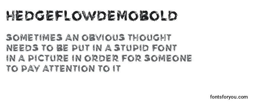 Обзор шрифта HedgeflowdemoBold