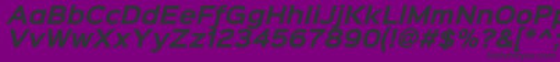 Sinkinsans700bolditalic Font – Black Fonts on Purple Background