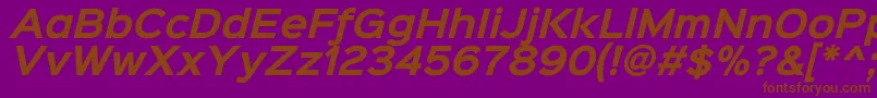 En savoir plus sur la police Sinkinsans700bolditalic Police Sinkinsans700bolditalic – polices brunes sur fond violet