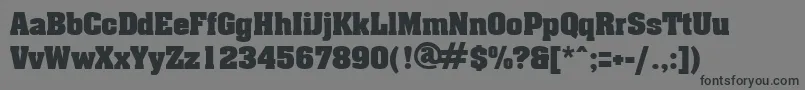 AcklinRegular Font – Black Fonts on Gray Background