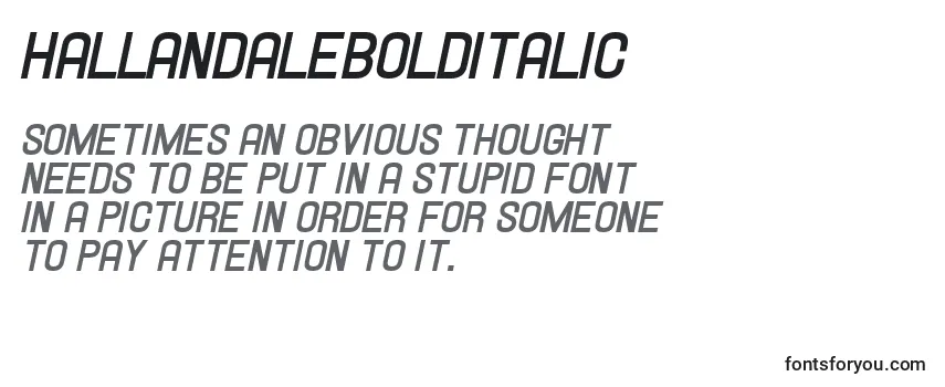 Review of the Hallandalebolditalic Font