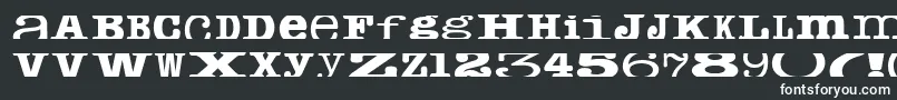 フォントCropfontserif – 白い文字