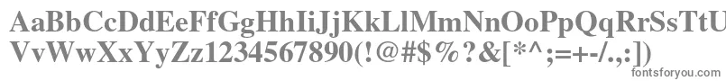 TimesltstdBold Font – Gray Fonts