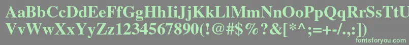 TimesltstdBold Font – Green Fonts on Gray Background
