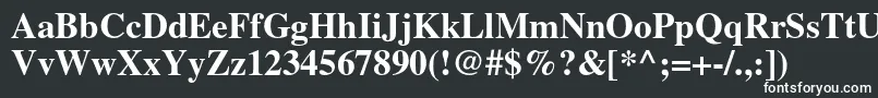 フォントTimesltstdBold – 黒い背景に白い文字