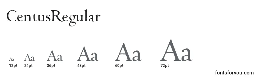 CentusRegular Font Sizes
