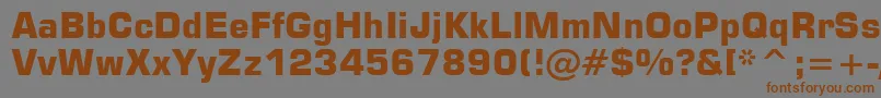 Square721BoldBt Font – Brown Fonts on Gray Background