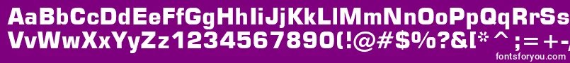 Square721BoldBt Font – White Fonts on Purple Background