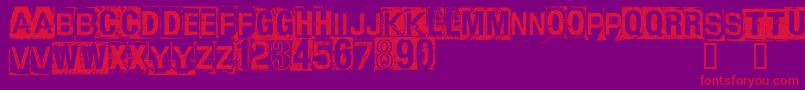 CfanarchyRegular Font – Red Fonts on Purple Background