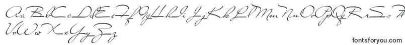 CloseToYou Font – Elegant Fonts
