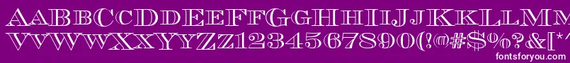 Chevalieropedcd Font – White Fonts on Purple Background