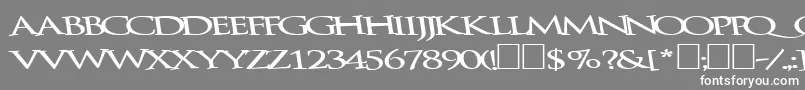 Bathingbeauty66Bold Font – White Fonts on Gray Background