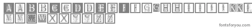 Delitzschcaps-Schriftart – Graue Schriften auf weißem Hintergrund