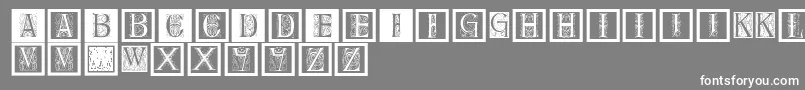 Delitzschcaps Font – White Fonts on Gray Background