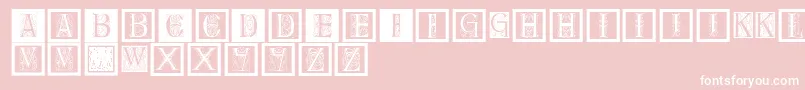 Delitzschcaps-Schriftart – Weiße Schriften auf rosa Hintergrund