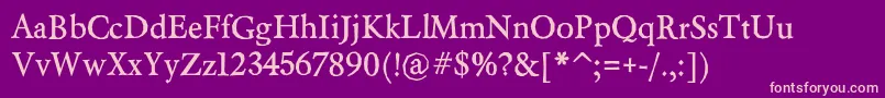 BeryliumBd Font – Pink Fonts on Purple Background