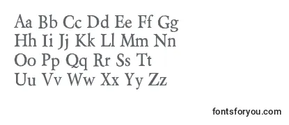 BeryliumBd Font