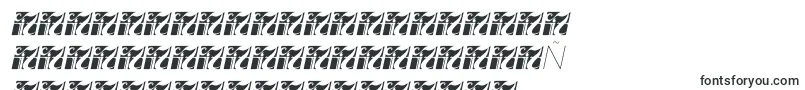 En savoir plus sur la police Fortheenas01Italic Police Fortheenas01Italic – polices serbes