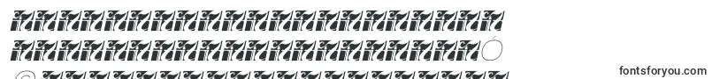 Fortheenas01Italic Font – Uighur Fonts