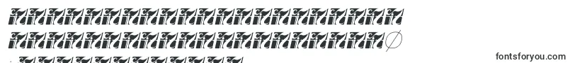 En savoir plus sur la police Fortheenas01Italic Police Fortheenas01Italic – polices sindhi