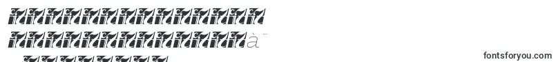 Fortheenas01Italic Font – Punjabi Fonts