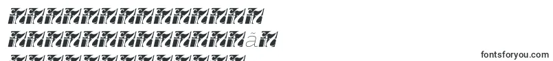 More about Fortheenas01Italic Font Fortheenas01Italic Font – Korean Fonts