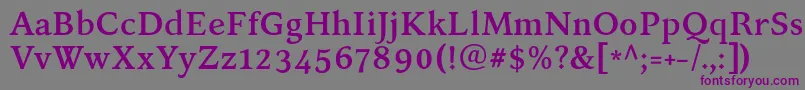 KelvinchBold Font – Purple Fonts on Gray Background