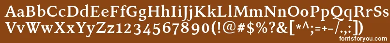 フォントKelvinchBold – 茶色の背景に白い文字