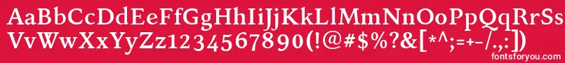 フォントKelvinchBold – 赤い背景に白い文字