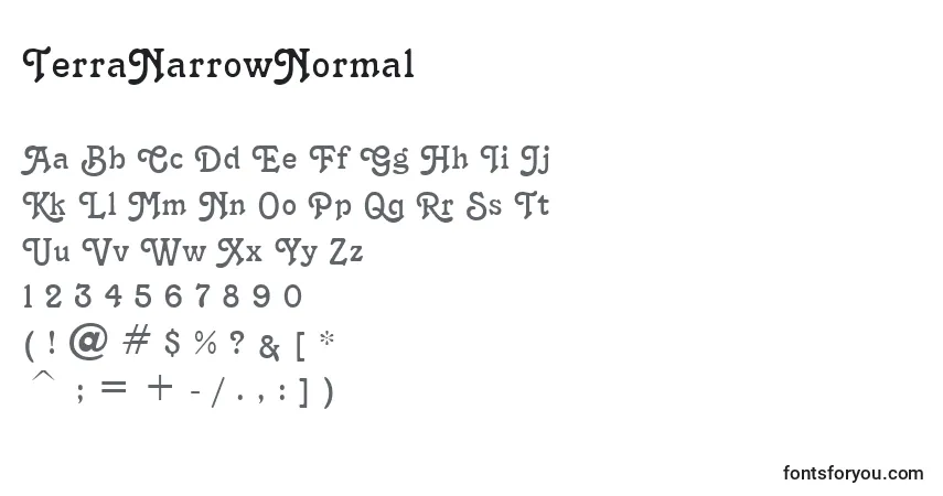 Czcionka TerraNarrowNormal – alfabet, cyfry, specjalne znaki