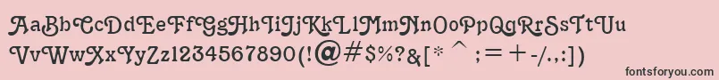 TerraNarrowNormal Font – Black Fonts on Pink Background