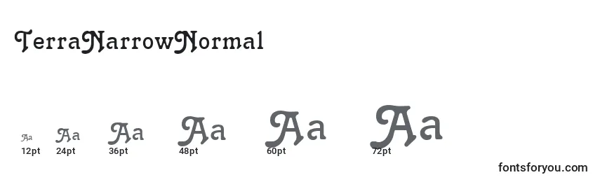 Размеры шрифта TerraNarrowNormal