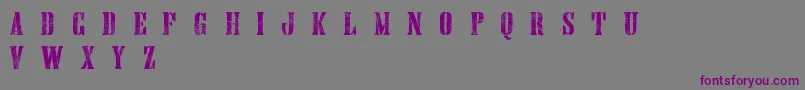 HandprintingpressErodedboldDemo Font – Purple Fonts on Gray Background