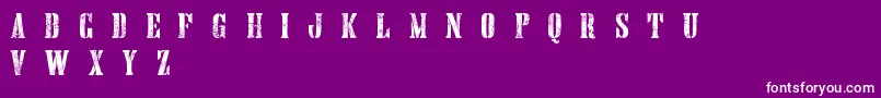 HandprintingpressErodedboldDemo Font – White Fonts on Purple Background