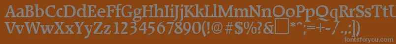 RaleighMedium-fontti – harmaat kirjasimet ruskealla taustalla