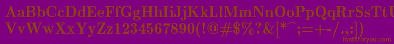 Lmromandemi10Regular Font – Brown Fonts on Purple Background