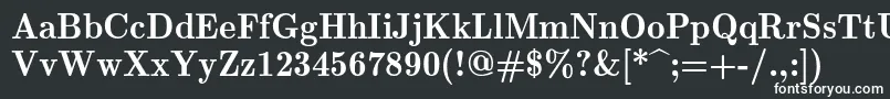 フォントLmromandemi10Regular – 白い文字