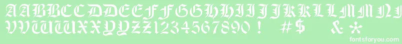Weitere Informationen zur OldeStencil-Schriftart OldeStencil-Schriftart – Weiße Schriften auf grünem Hintergrund