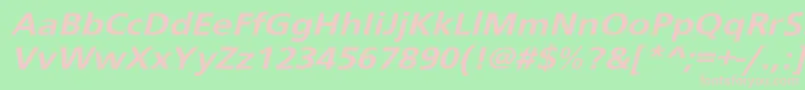 En savoir plus sur la police Schranerextobl Police Schranerextobl – polices roses sur fond vert