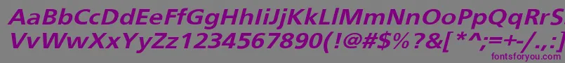 Schranerextobl-Schriftart – Violette Schriften auf grauem Hintergrund