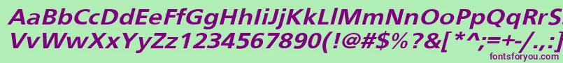 Schranerextobl Font – Purple Fonts on Green Background