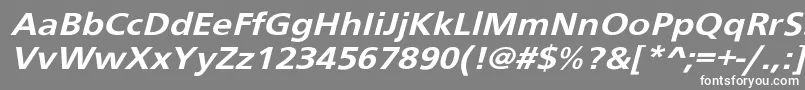 Schranerextobl-Schriftart – Weiße Schriften auf grauem Hintergrund