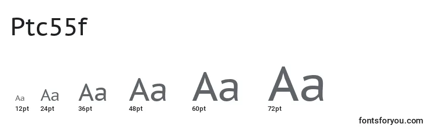 Größen der Schriftart Ptc55f