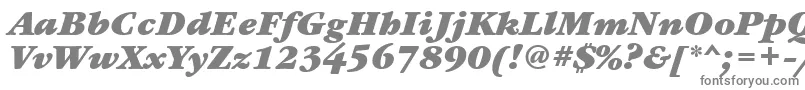 Шрифт GaramondbooktttBolditalic – серые шрифты на белом фоне