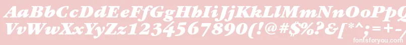 Fonte GaramondbooktttBolditalic – fontes brancas em um fundo rosa