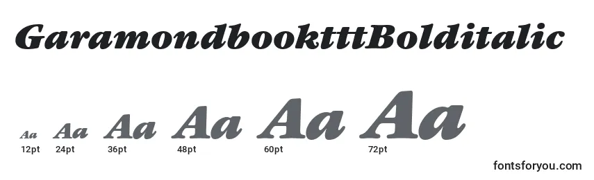 Размеры шрифта GaramondbooktttBolditalic