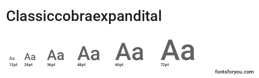 Размеры шрифта Classiccobraexpandital