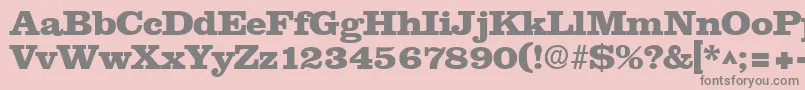 NewslineHeavySfBold Font – Gray Fonts on Pink Background