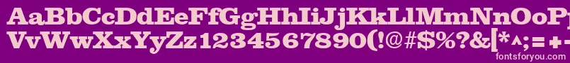 NewslineHeavySfBold Font – Pink Fonts on Purple Background